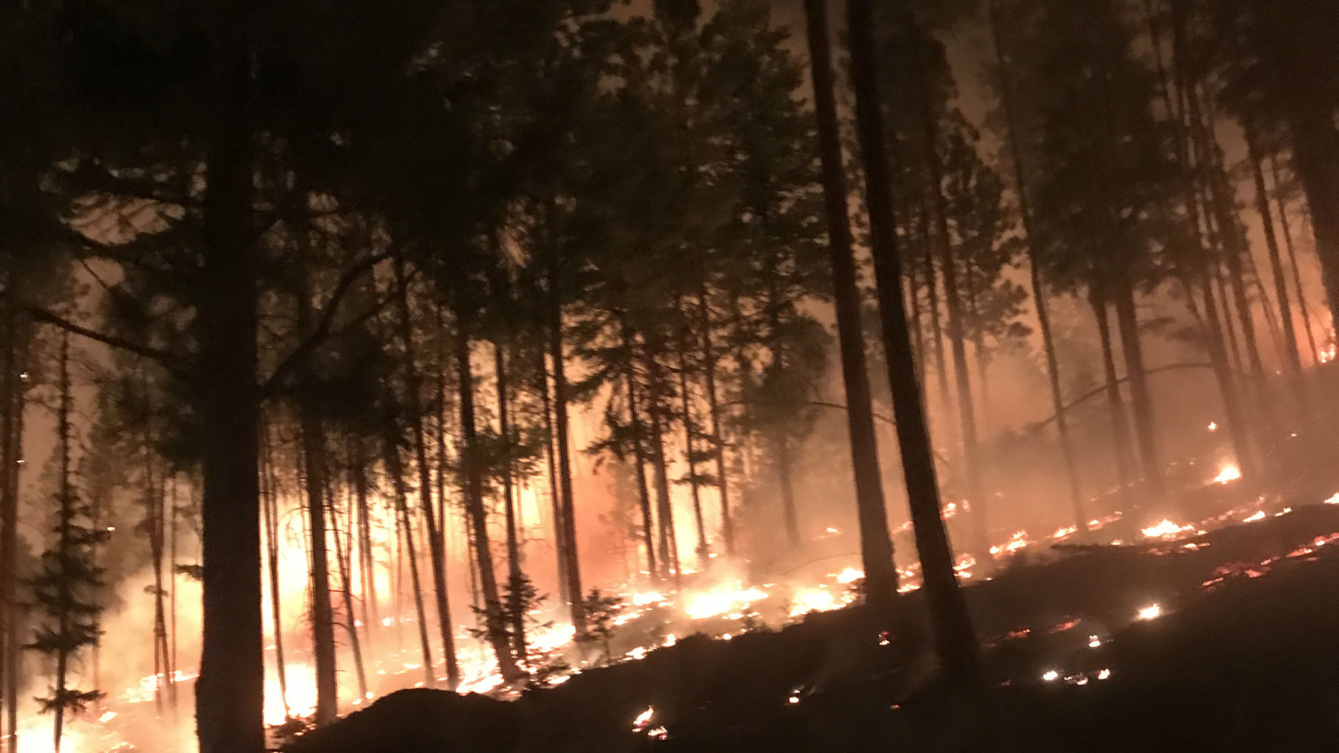 CCC Fire update 8-8-19